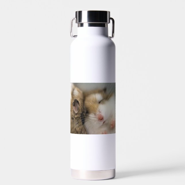Bouteille D'eau Déplacer vers Bob (Avant)
