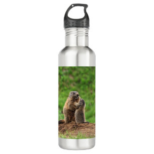 Bouteille D'eau Deux marmottes