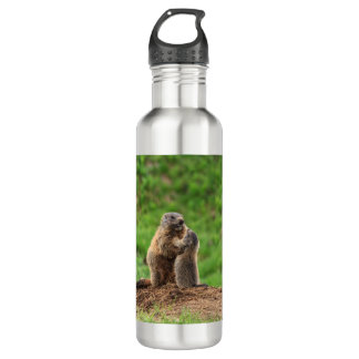 Bouteille D'eau Deux marmottes