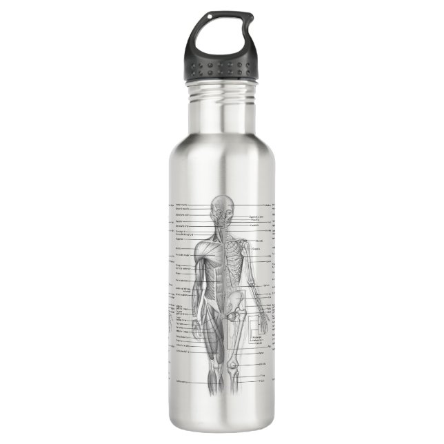 Bouteille D'eau Diagramme Médicale d'anatomie humaine (Devant)