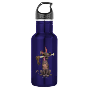 Bouteille D'eau Disney Pixar Coco Dante Os drôle avec chaussure