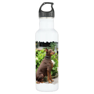 Bouteille D'eau Dobermann - dans le jardin d'église