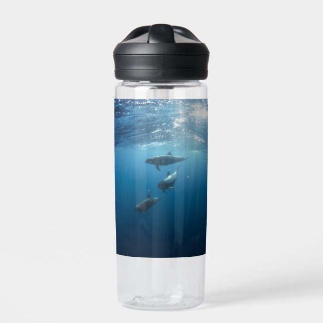 Bouteille D'eau Dolphin Family (Extérieur)