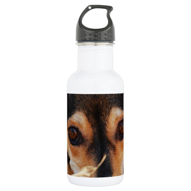 Bouteille D'eau Doux chien pondre dans le foin (Devant)