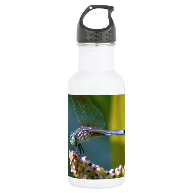 Bouteille D'eau Dragonfly aux yeux turquoises (Devant)