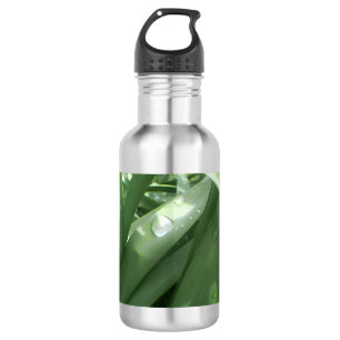 Bouteille D'eau éco vert