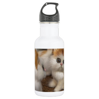 Bouteille D'eau En Acier Inoxydable Adorables chatons en peluche