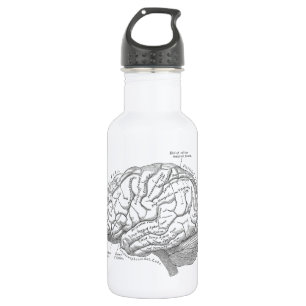 Bouteille D'eau En Acier Inoxydable Anatomie vintage de cerveau