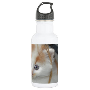 Bouteille D'eau En Acier Inoxydable Animaux Mignon Chat Chaton Animaux de compagnie Ch