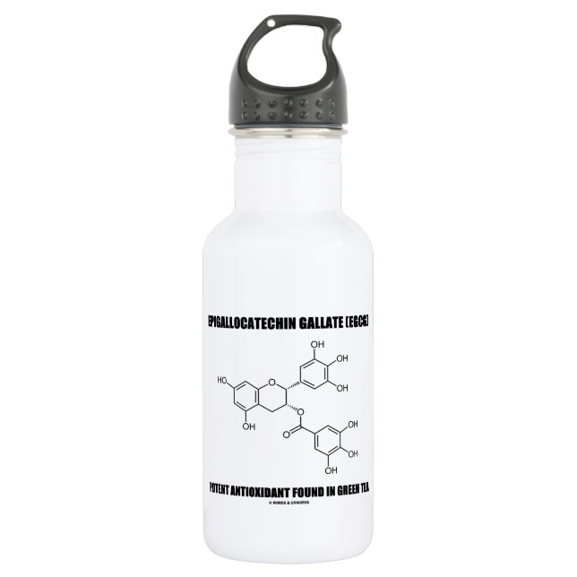 Bouteille D'eau En Acier Inoxydable Antioxydant efficace du gallate d'Epigallocatechin (Devant)