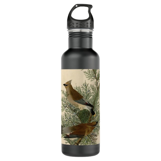 Bouteille D'eau En Acier Inoxydable Audubon Cèdre cire oiseau (Devant)