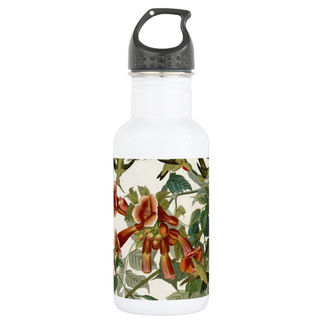 Bouteille D'eau En Acier Inoxydable Audubon Throsé de colibri (Devant)