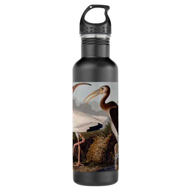 Bouteille D'eau En Acier Inoxydable Audubon White Ibis Bird Wildlife (Devant)