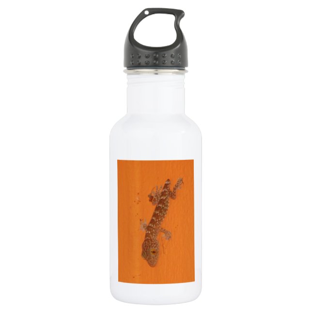 Bouteille D'eau En Acier Inoxydable Baby Tokay Gecko (Devant)