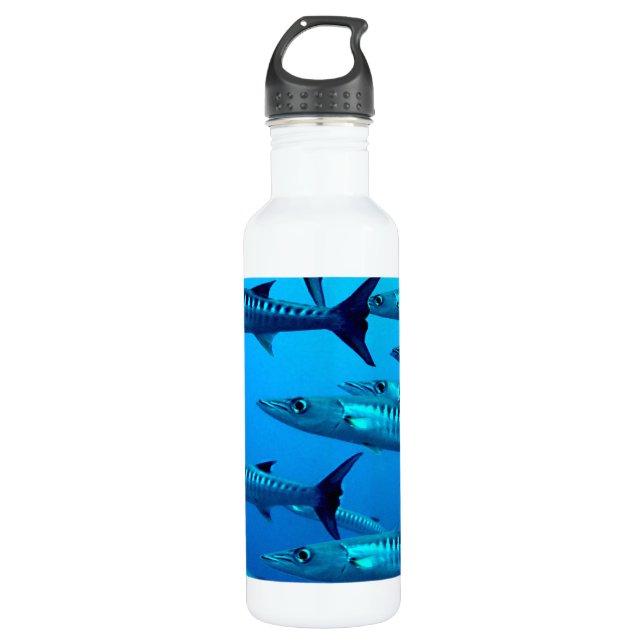 Bouteille D'eau En Acier Inoxydable Barracudas (Devant)