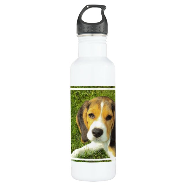 Bouteille D'eau En Acier Inoxydable Beagle (Devant)