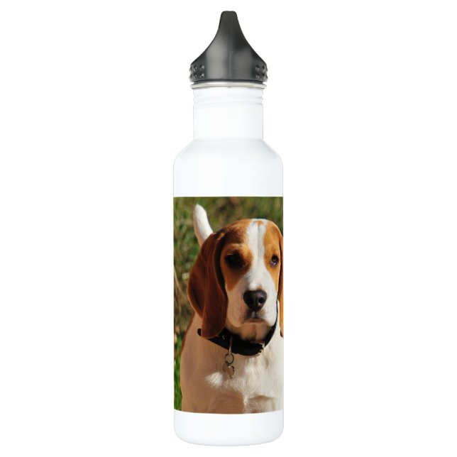 Bouteille d'eau en acier inoxydable beagle (Gauche)