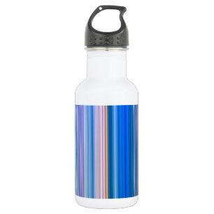 Bouteille D'eau En Acier Inoxydable Bleu et rose