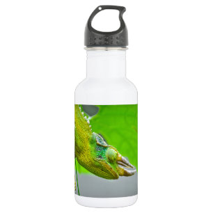 Bouteille D'eau En Acier Inoxydable Caméléon à cornes du géant 3