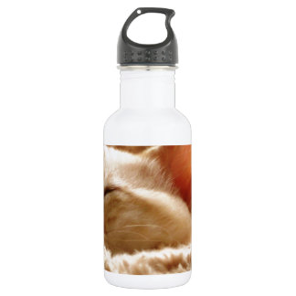 Bouteille D'eau En Acier Inoxydable Chat endormi
