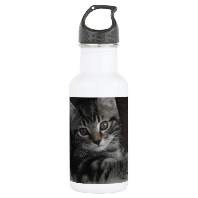 Bouteille D'eau En Acier Inoxydable Chaton d'étameur ambulant (Devant)