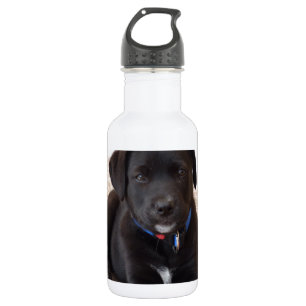 Bouteille D'eau En Acier Inoxydable Chiot de récupération Black Labrador