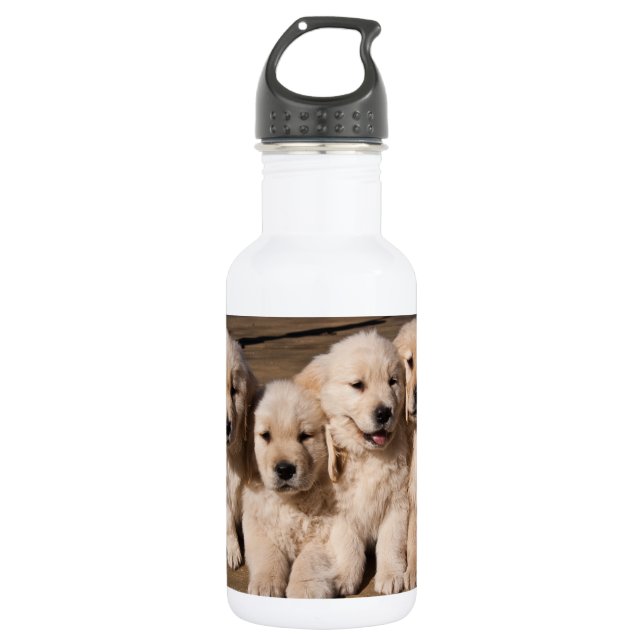 Bouteille D'eau En Acier Inoxydable Chiots doux de golden retriever (Devant)