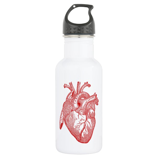 Bouteille D'eau En Acier Inoxydable Coeur Anatomique Rouge (Devant)