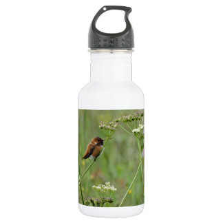 Bouteille D'eau En Acier Inoxydable Colibri : Oiseau en fleurs