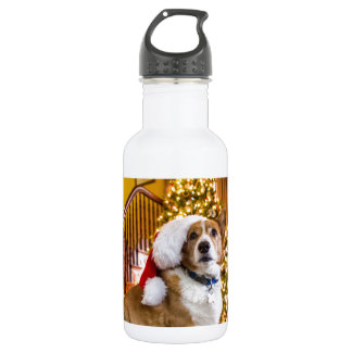 Bouteille D'eau En Acier Inoxydable Corgi de Noël