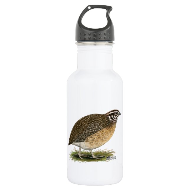 Bouteille D'eau En Acier Inoxydable Coturnix Pharaoh (Devant)