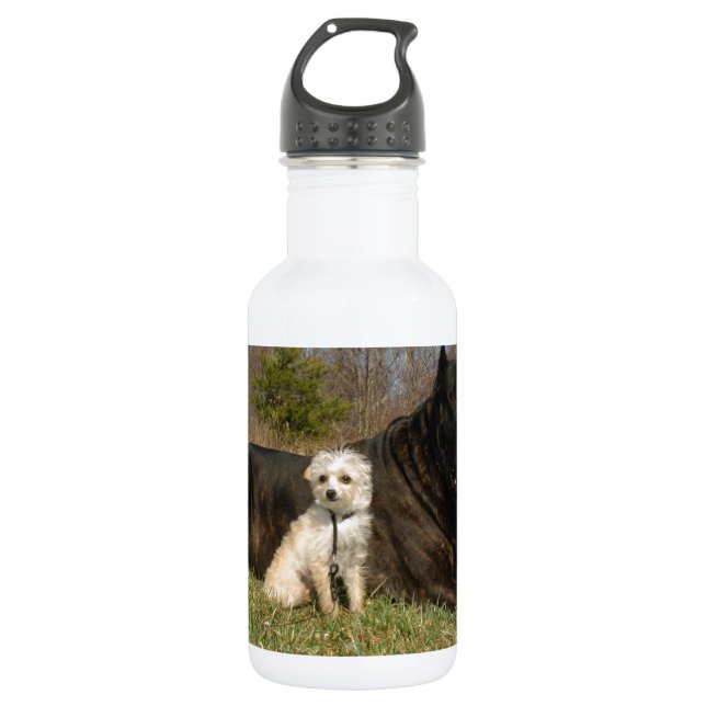 Bouteille D'eau En Acier Inoxydable Couple de chien mignon (Devant)