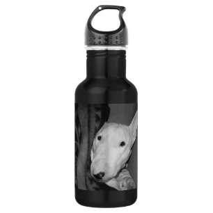 Bouteille D'eau En Acier Inoxydable Créez votre propre BT-Blottir-BW Souvenir-Anglais