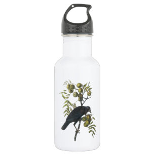 Bouteille D'eau En Acier Inoxydable Crow américain par Audubon