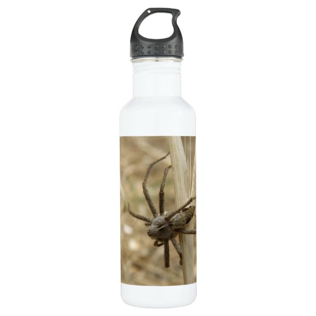 Bouteille D'eau En Acier Inoxydable Déplaisant Crawly Spider (Devant)