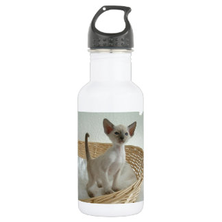Bouteille D'eau En Acier Inoxydable Destin de Kitty de Meow de ronronnement d'animal