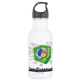 Bouteille D'eau En Acier Inoxydable Équipe Autotroph (biologie cellulaire de plante)