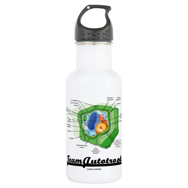 Bouteille D'eau En Acier Inoxydable Équipe Autotroph (biologie cellulaire de plante) (Devant)