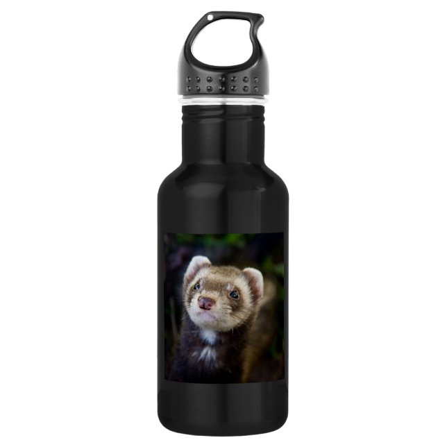Bouteille D'eau En Acier Inoxydable Ferret (Devant)