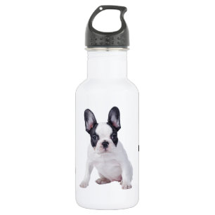 Bouteille D'eau En Acier Inoxydable Frenchie - Chien français