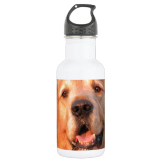 Bouteille D'eau En Acier Inoxydable Golden Retriever