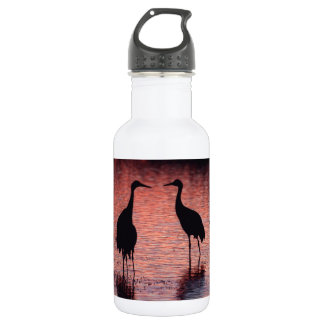 Bouteille D'eau En Acier Inoxydable Grues de Sandhill