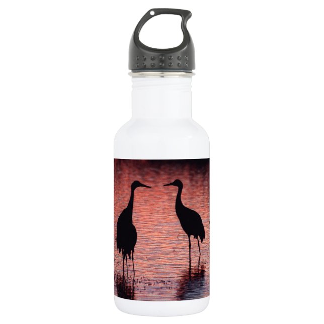 Bouteille D'eau En Acier Inoxydable Grues de Sandhill (Devant)