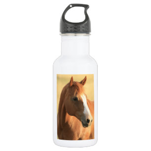 Bouteille D'eau En Acier Inoxydable Image de cheval