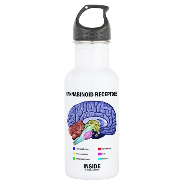 Bouteille D'eau En Acier Inoxydable Intérieur de récepteurs de Cannabinoid (anatomie (Devant)