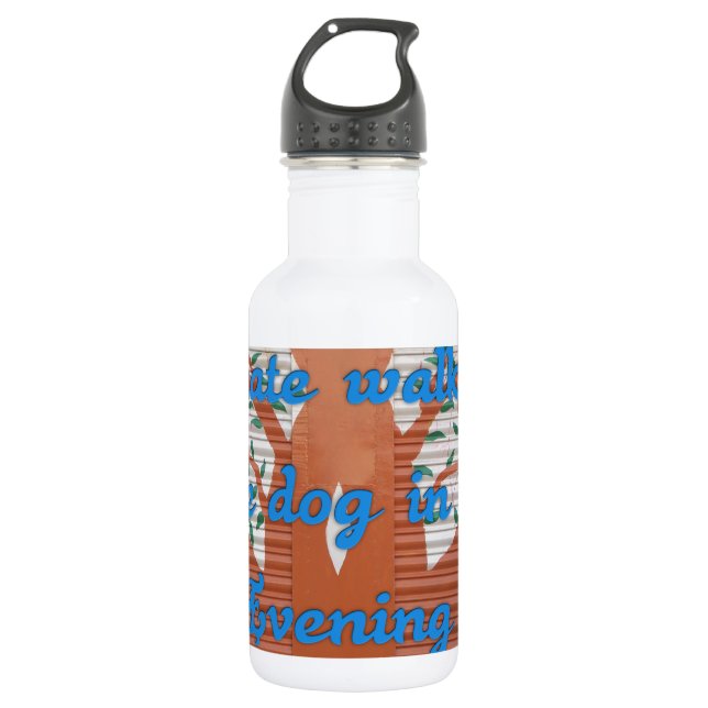 Bouteille D'eau En Acier Inoxydable Je déteste marcher le chien le soir. (Devant)