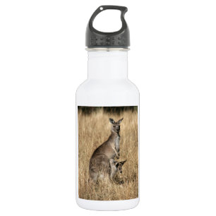 Bouteille D'eau En Acier Inoxydable Kangaroo avec Joey bébé à Pouch