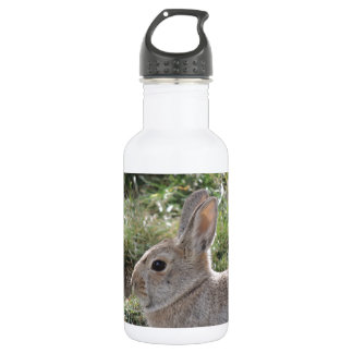 Bouteille D'eau En Acier Inoxydable Lapin de lapin