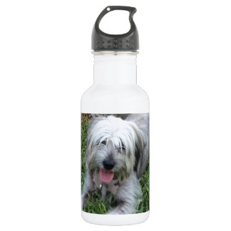 Bouteille D'eau En Acier Inoxydable Lazy Mutt