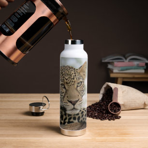Bouteille d'eau en acier inoxydable Leopard 22 oz.